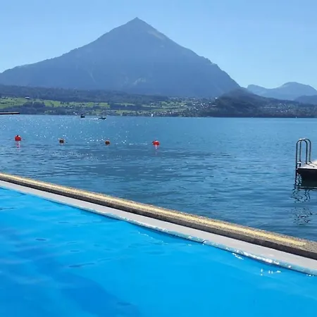 Thun Alps Scenic Views And Concierge By Swisshut *