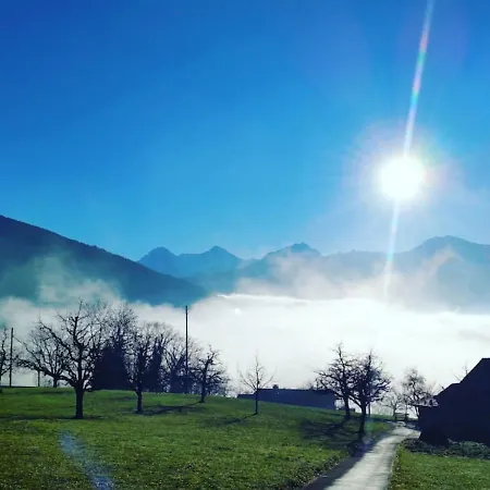 公寓 Thun Alps Scenic Views And Concierge By Swisshut 斯格里维尔