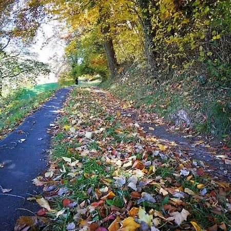 Thun Alps Scenic Views And Concierge By Swisshut *