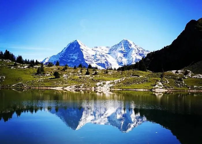 Thun Alps Scenic Views And Concierge By Swisshut