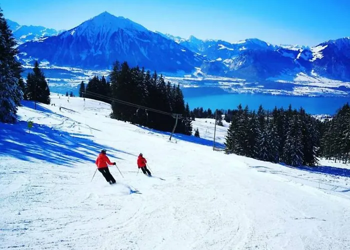 Thun Alps Scenic Views And Concierge By Swisshut Sigriswil