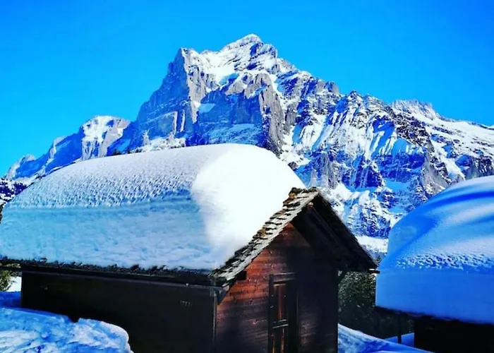 Thun Alps Scenic Views And Concierge By Swisshut