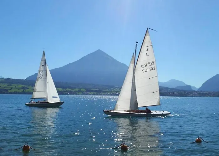 Thun Alps Scenic Views And Concierge By Swisshut Sigriswil