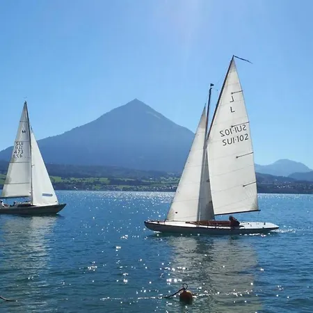 Thun Alps Scenic Views And Concierge By Swisshut Sigriswil