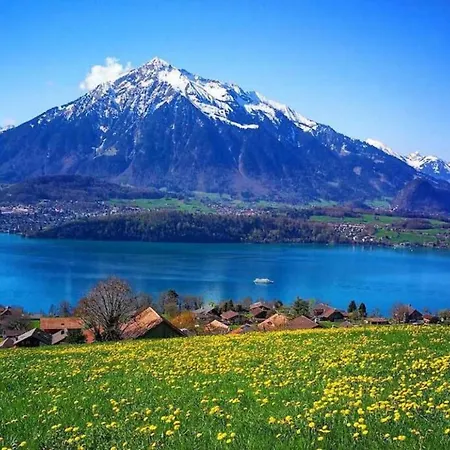 Thun Alps Scenic Views And Concierge By Swisshut Apartment